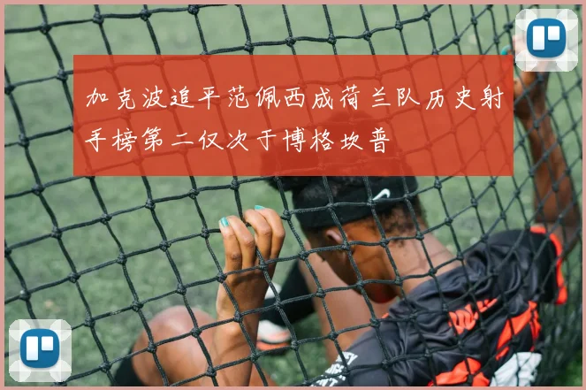 加克波追平范佩西成荷兰队历史射手榜第二仅次于博格坎普